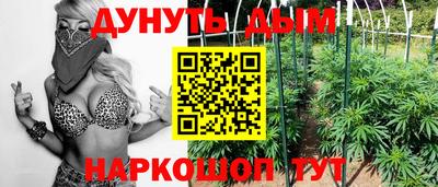прущие грибы Ипатово