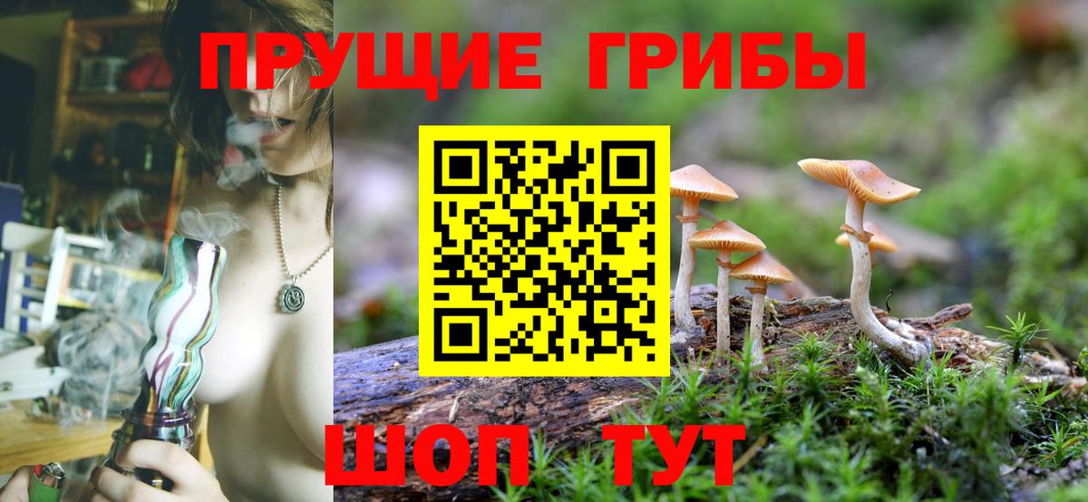 Кыштым  Псилоцибиновые грибы мухоморы  Псилоцибиновые грибы Psilocybine cubensis  Вход с VPN 
