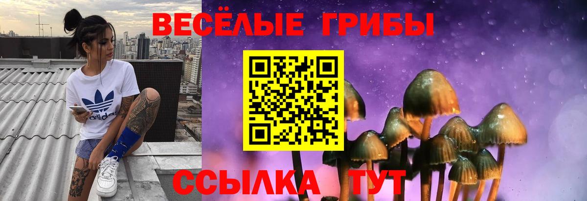 Псилоцибиновые грибы Psilocybine cubensis Кыштым